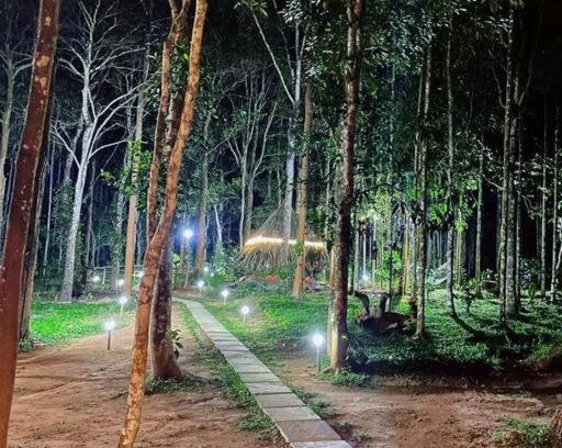 Kidanganad Villa | TreeSong Villa - Modern forest Villa in Wayanad