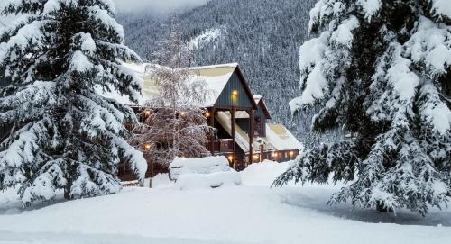 Field Hotel | Truffle Pigs Lodge