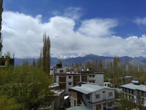 Leh Hotel | TSASKAN hotel