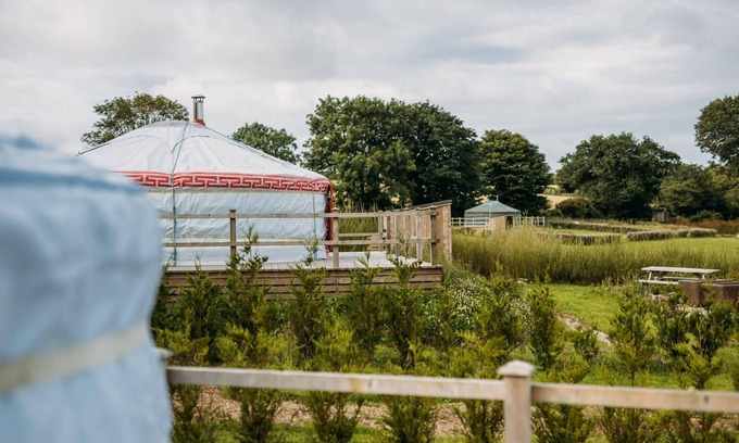 Newquay Cabin | Turkey Dog - A luxury couples+ Yurt on a stunning historic estate near Newquay. Dog friendly