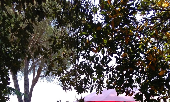 Amelia Villa | two farmhouses and swimming pool sleeps 6-8