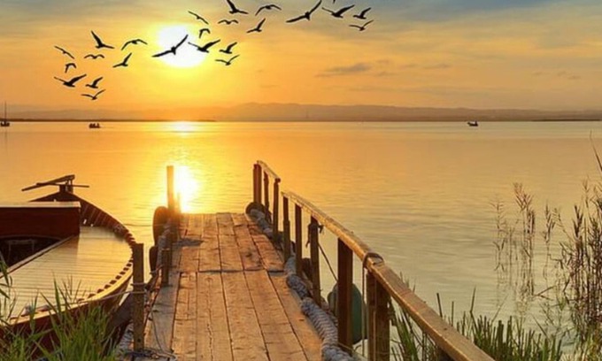 Midway-Pacific Highway House | Unlimited Adventure Awaits You! San Diego Fun, Fun