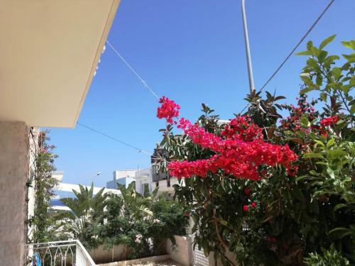 Capitolo Bed & Breakfast | Uno'