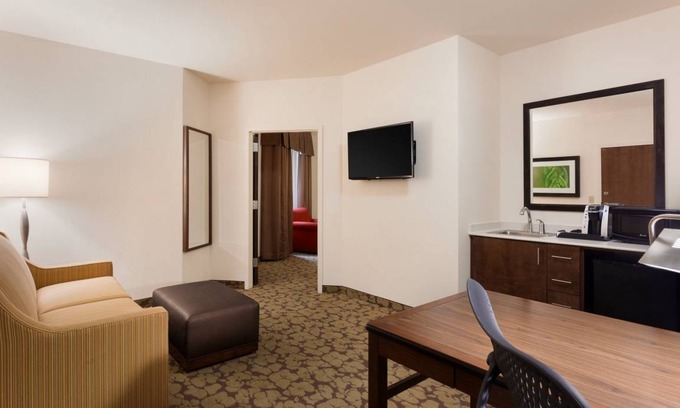 Central Business District Hotel | Hilton Garden Inn Rochester Downtown 1 King Accessible Suite With Bathtub