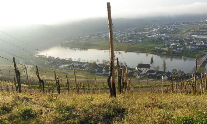 Piesport Apartment | Vacation apartment with wonderful view of the Moselle, quiet location, garden, parking, wifi