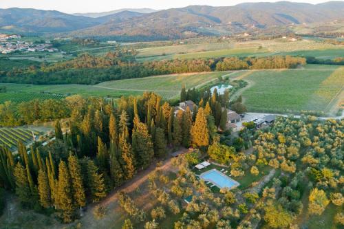 Chiocchio Apartment | Vigna Home Amazing Site Chianti Classico - Happy Rentals