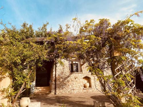 Marina San Gregorio House | VIGNA VECCHIA