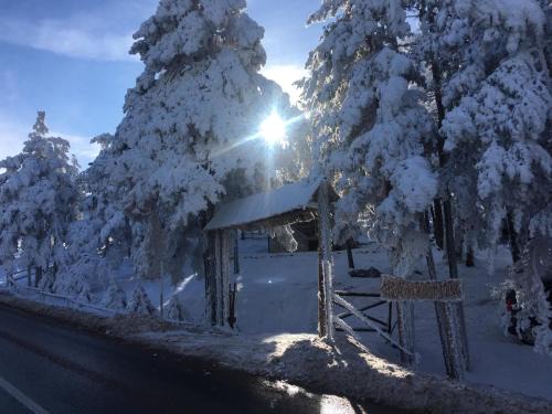 Divcibare House | Vikendica Martinović