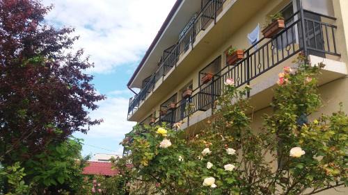 Vama Veche House | Vila Albatros