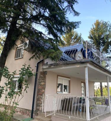 Petrovaradin House | Vila Vera Novosadska 15
