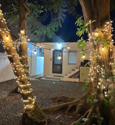 Santurce House | Villa Bamboo 2