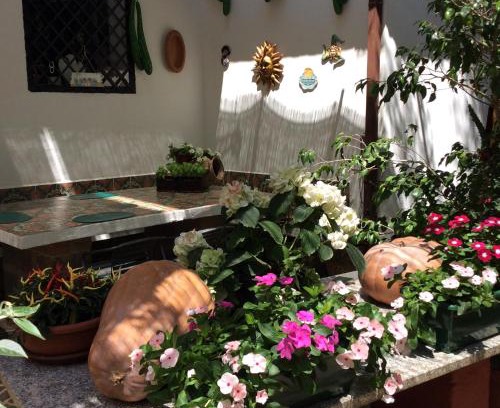 Zambrone Bed & Breakfast | Villa Isabella