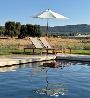Speziale Bed & Breakfast | Villa Narducci