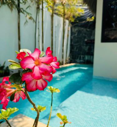 Brisas de Zicatela Villa | Villa Oasis deLux Alberca privada