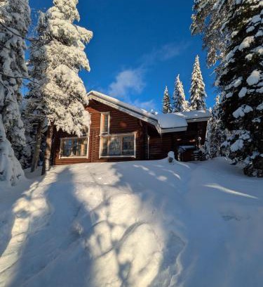 Syote Villa | Villa Riekonpesä, Mountain top