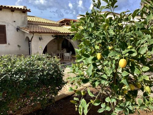 Mazara del Vallo House | Villa Silvana