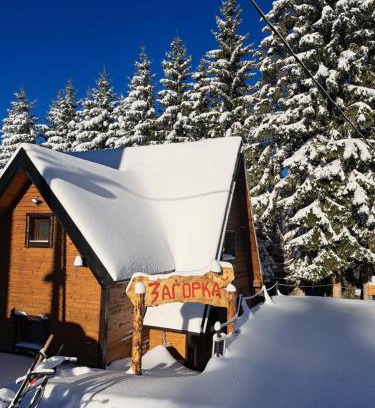 Kopaonik Apartment | Villa Zagorka and mountain houses A, M, D