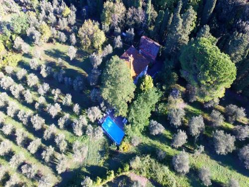Ghizzano House | Vino, Views and Relaxing Stay