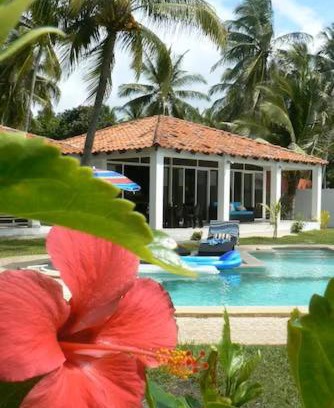 San Luis Talpa House | Vistabella Beach House - Pool, Beach - 12ppl