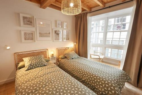 Viveiro House | Viveiro Dreams