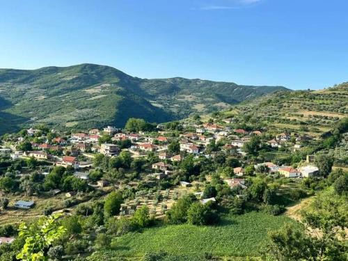 Berat House | Vojfarm