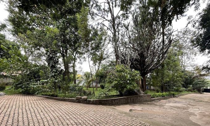Mwanza House | Wag Hill Homestay