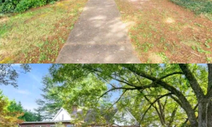 Pickens House | Welcome To Downtown Pickens close to Clemson and Lake Keowee