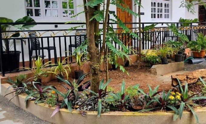 Anjuna Hotel | Whispering Palms Anjuna