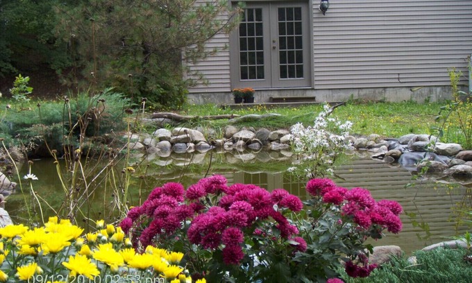 Bethlehem Cottage | White Mountain Retreat - Family/Pet Friendly- Year Round : Ski areas Close by!