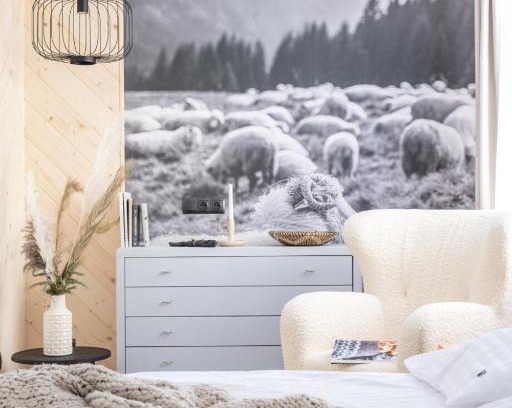 Zakopane Bed & Breakfast | Willa Bór