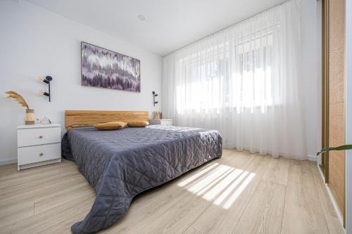 Palanga Apartment | Wonderful place to stay - Palanga