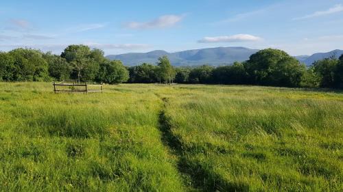 Killarney House | Woodford Guest House in old farm