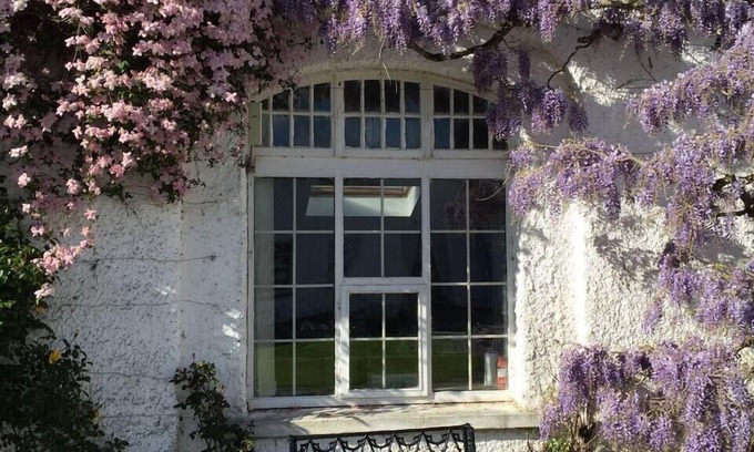 Cappoquin Apartment | Yard Flat
