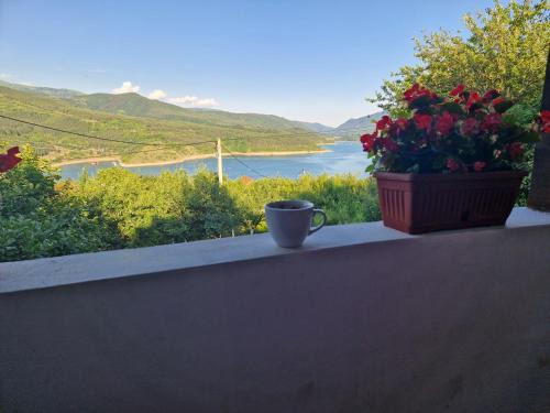 Stara Planina House | Zavojsko jezero - kuća Mitić