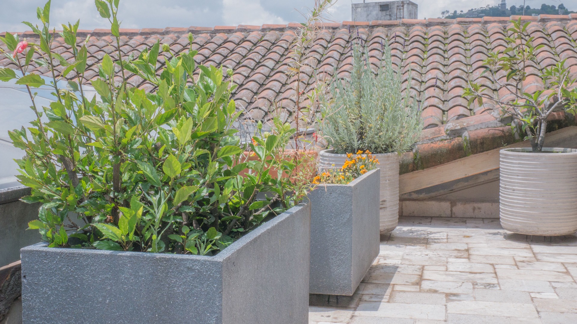 Photo of Outdoor in Quito Historic Center