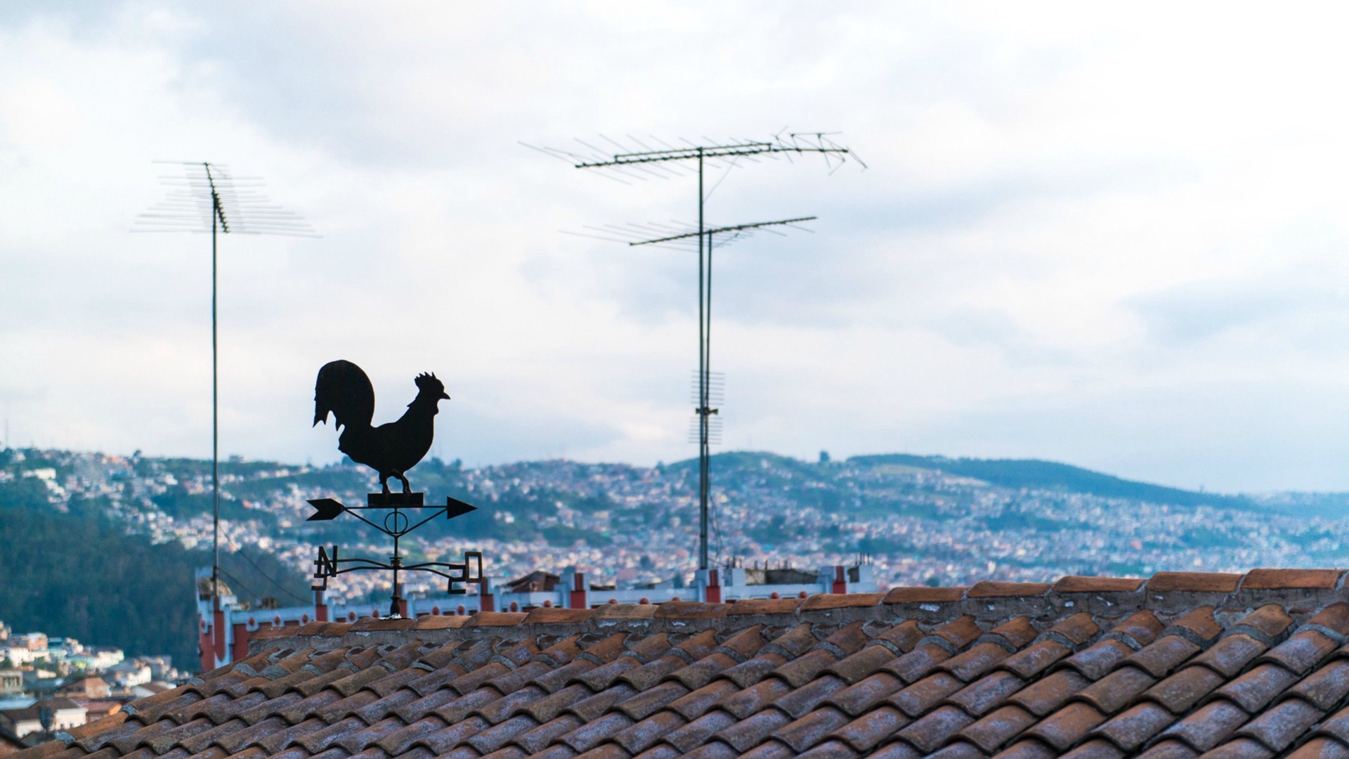 Photo of Others in Quito Historic Center