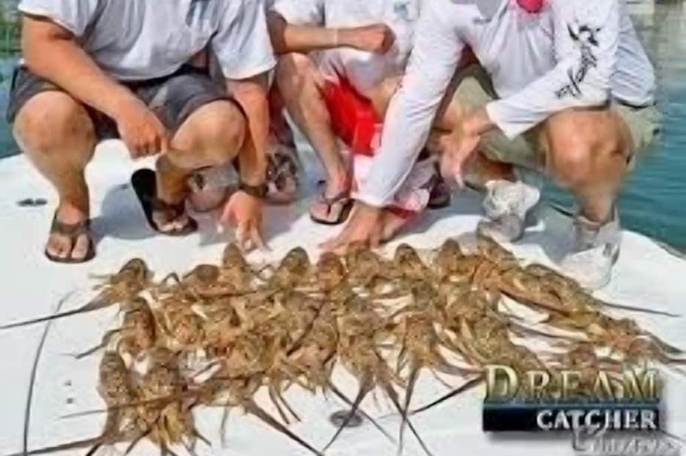 Photo of Others in Summerland Key