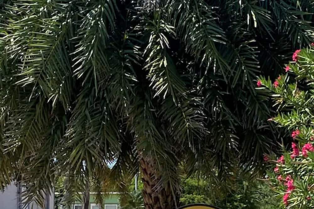 Photo of Others in Summerland Key