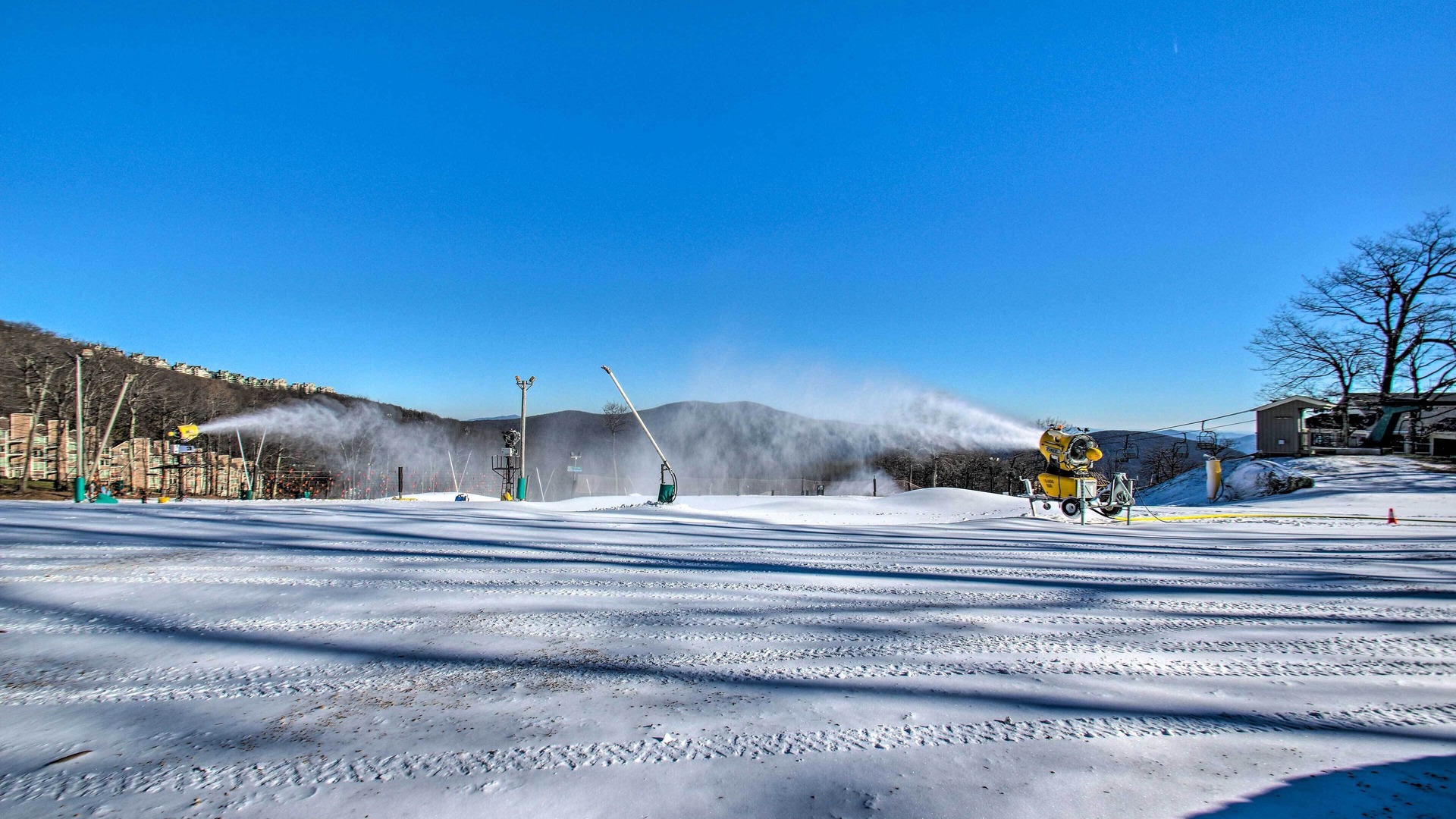 Photo of Others in Wintergreen