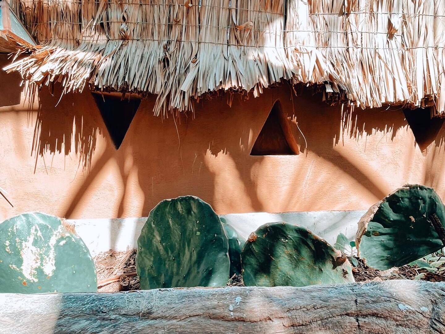 Photo of Outdoor in Brisas de Zicatela