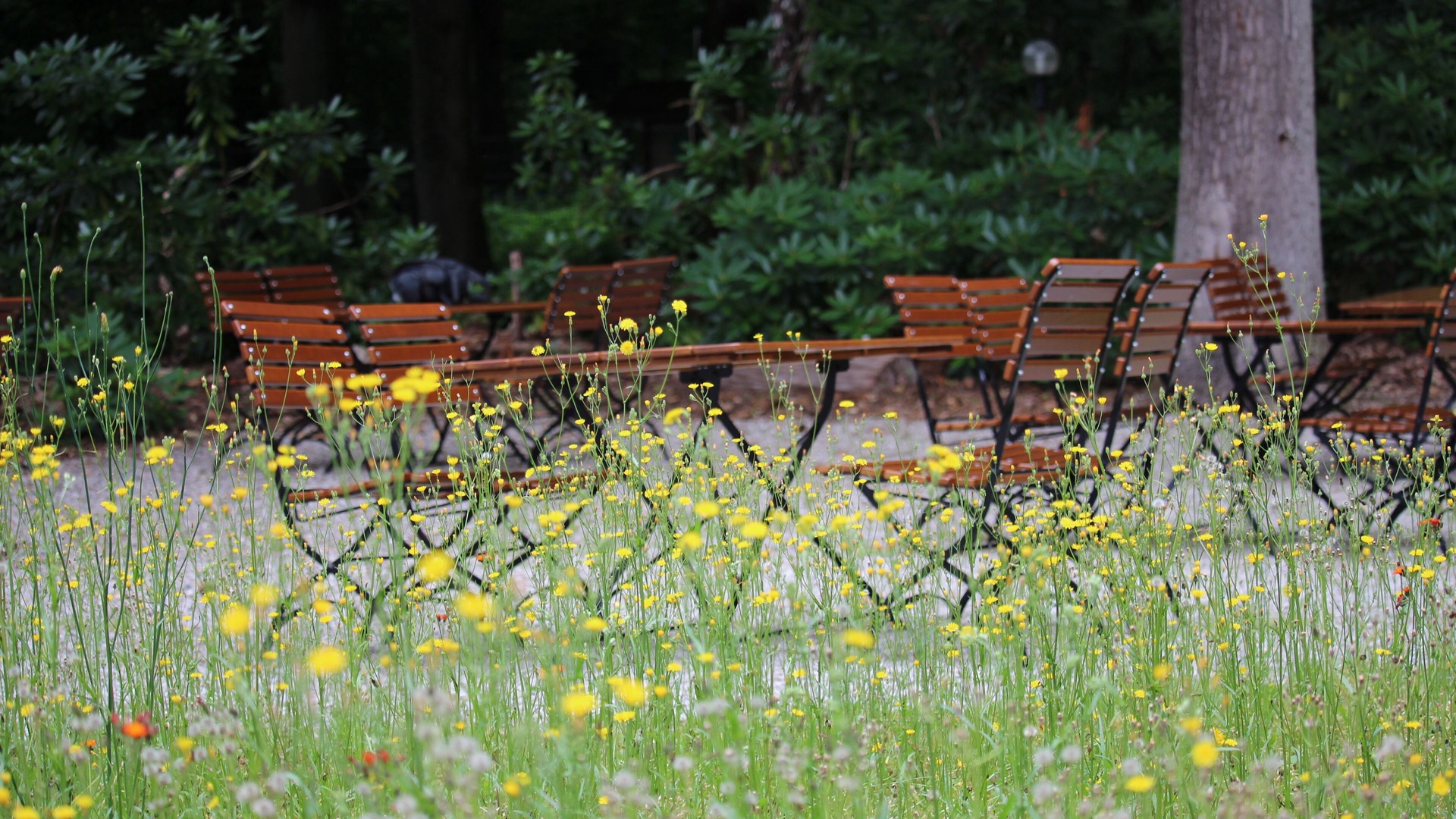 Photo of Outdoor in Bad Homburg v.d. Hoehe