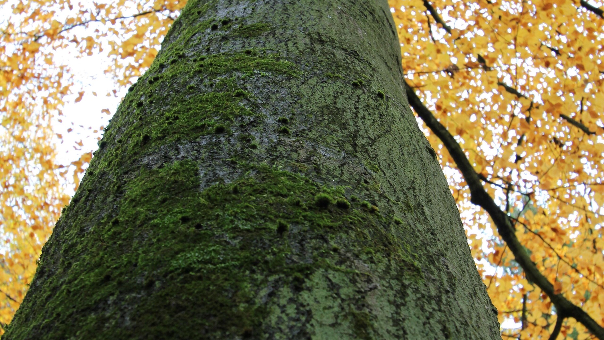 Photo of Outdoor in Bad Homburg v.d. Hoehe