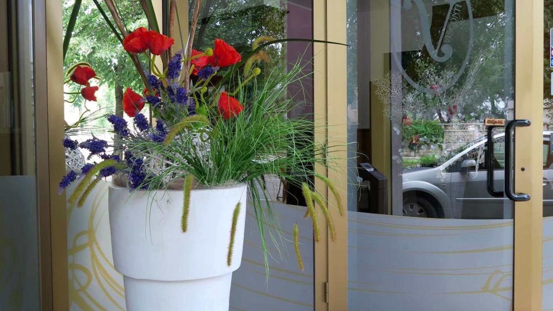 Photo of Outdoor in Cremona