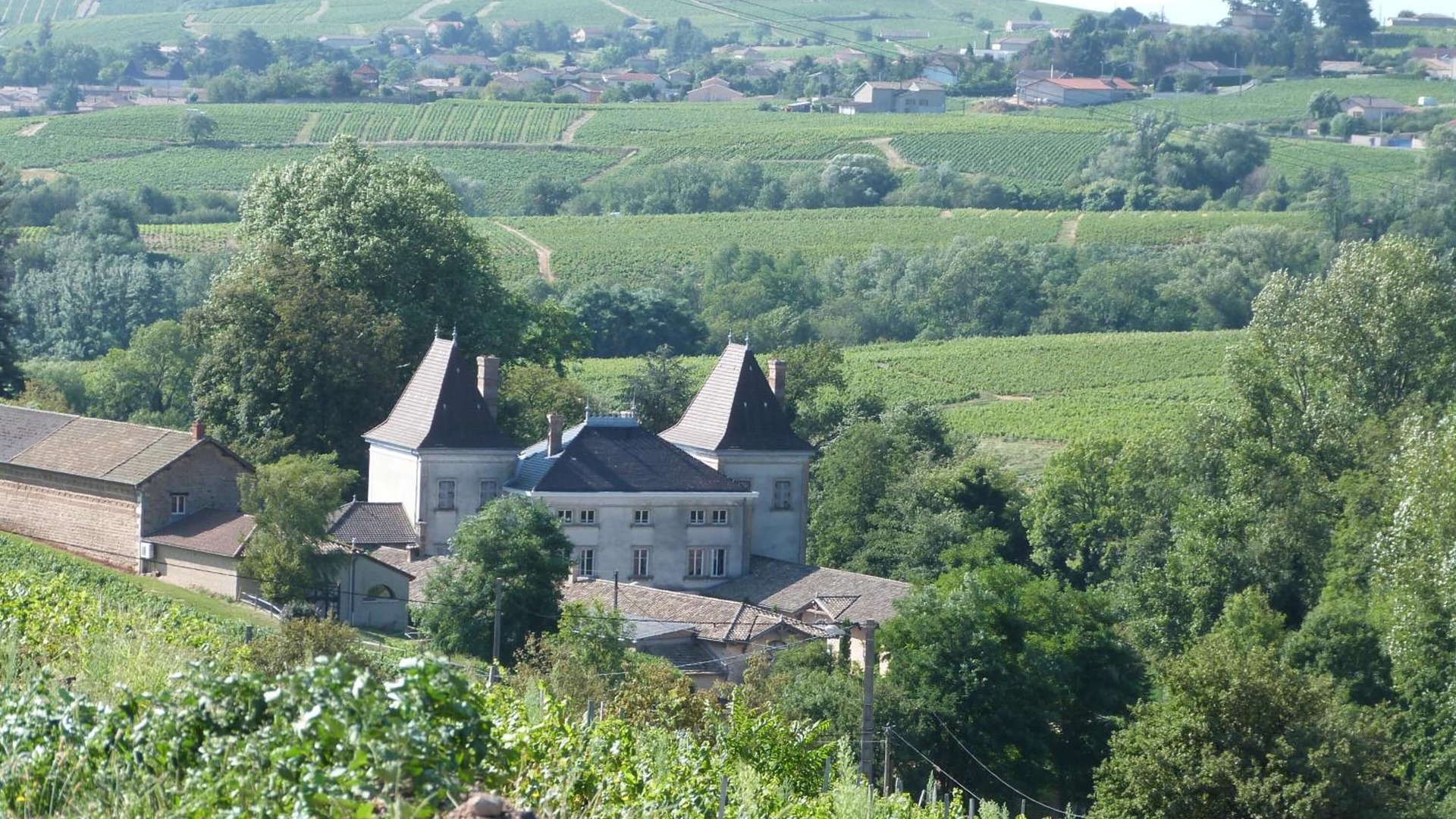 Photo of Outdoor in Fleurie