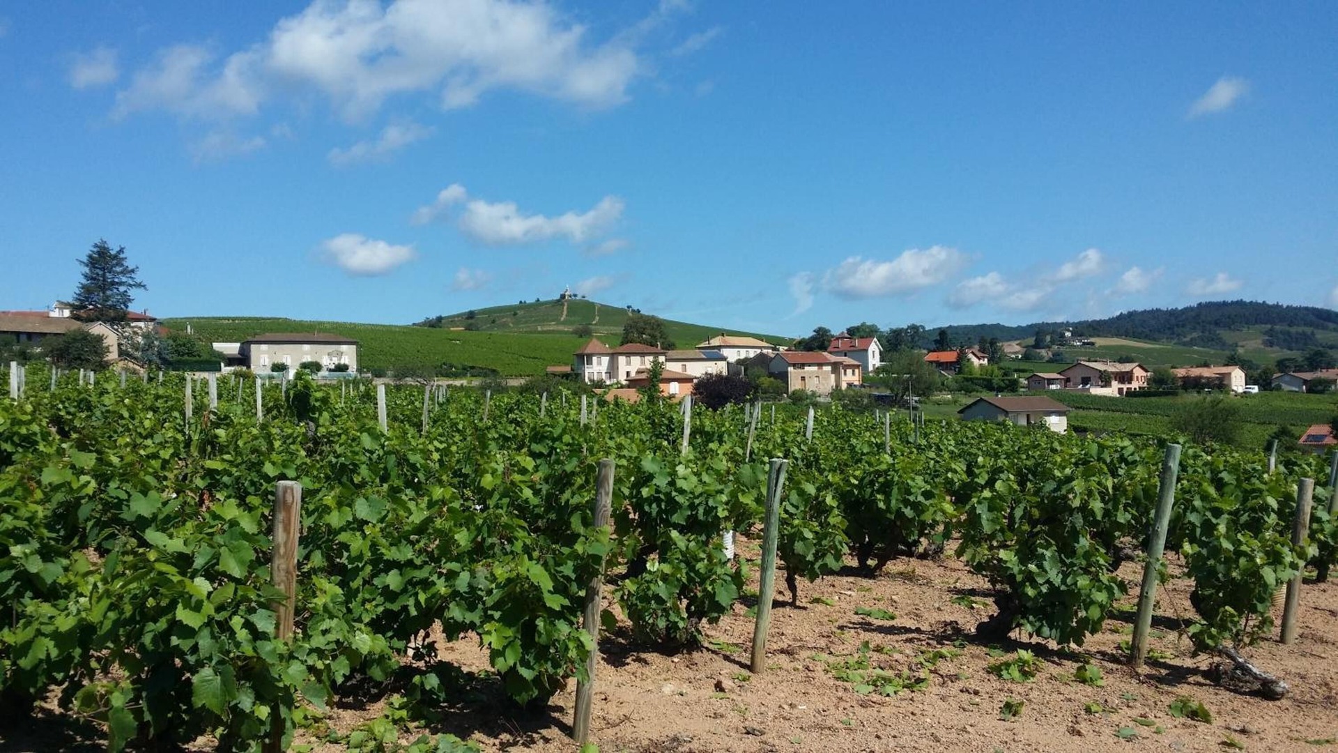 Photo of Outdoor in Fleurie
