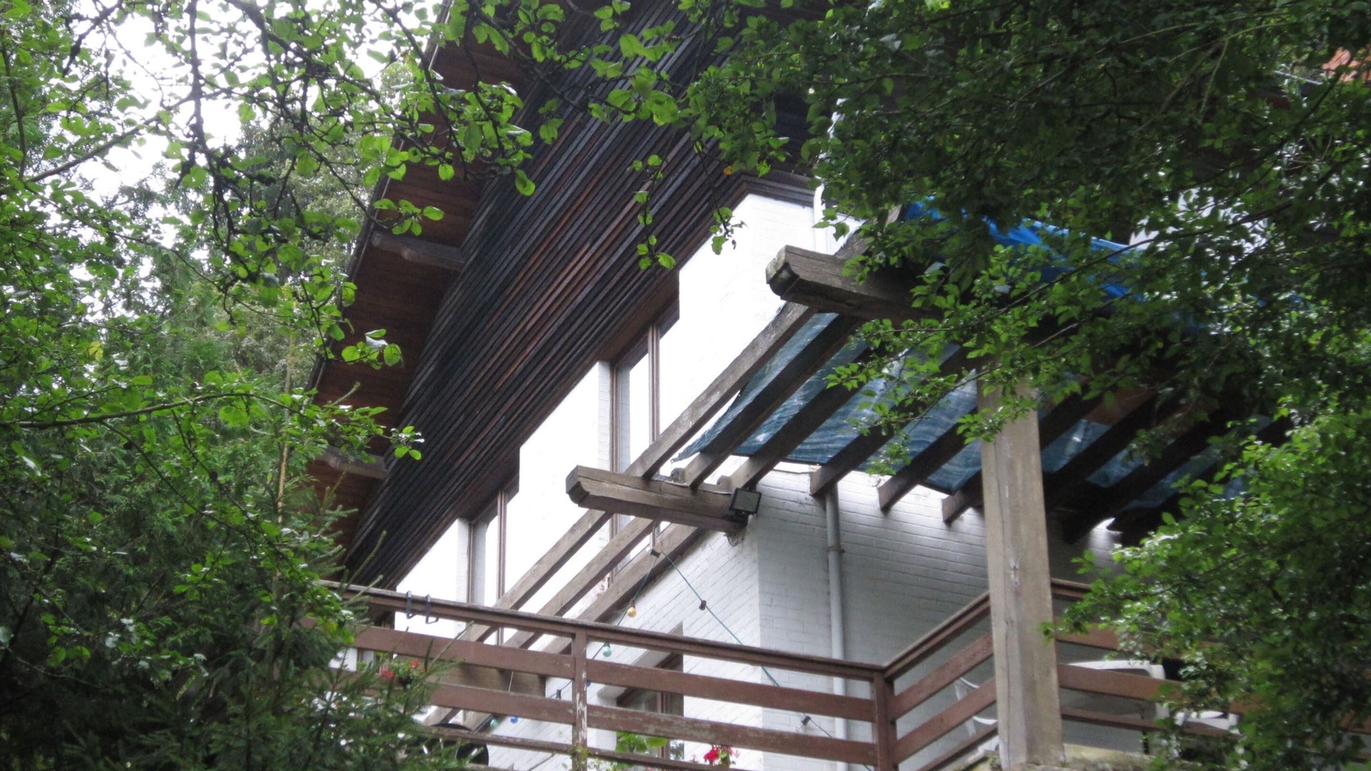 Photo of Outdoor in Coo