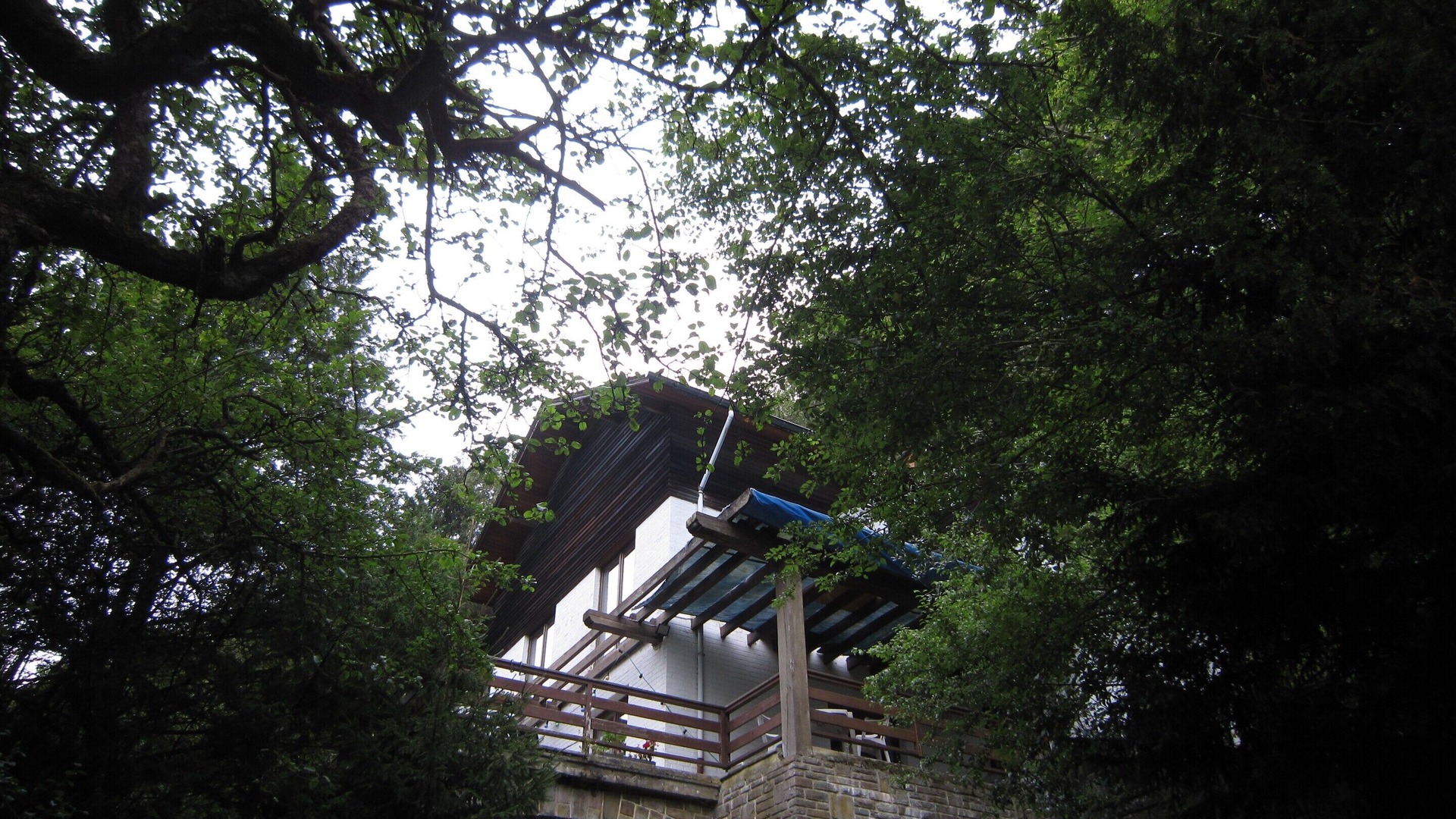 Photo of Outdoor in Coo