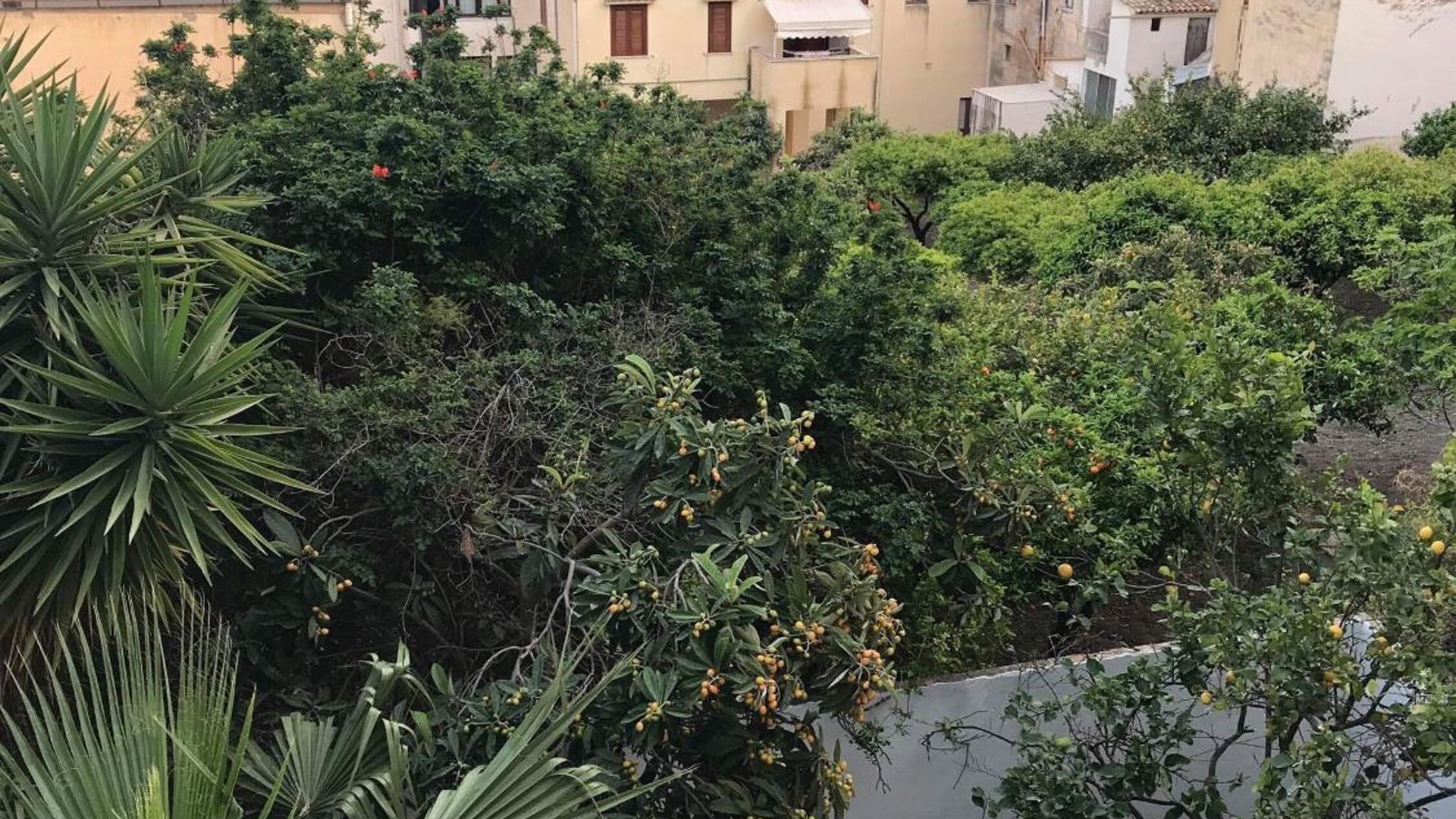 Photo of Outdoor in Sciacca