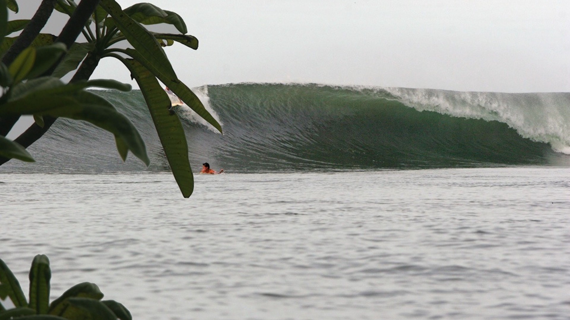Photo of Others in Punta Mango