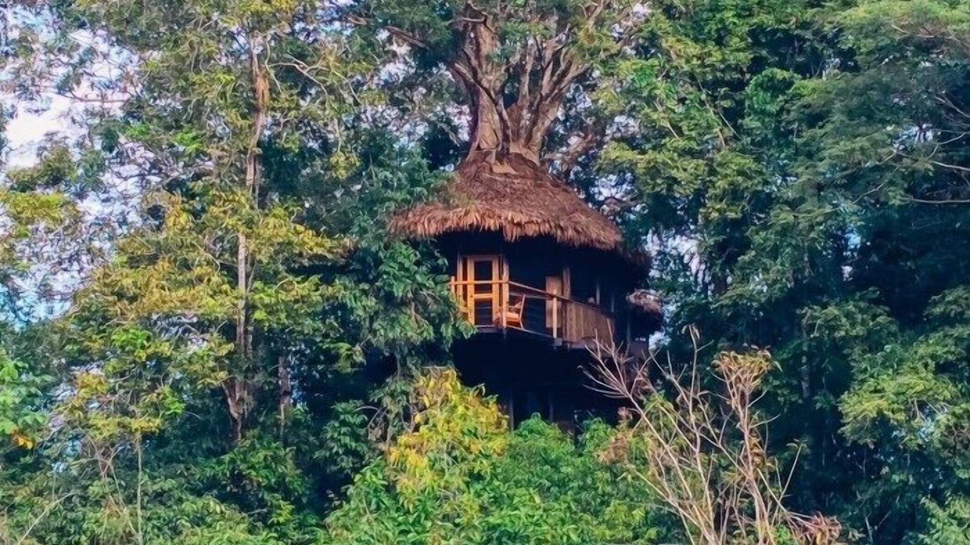 Photo of Others in Saquena